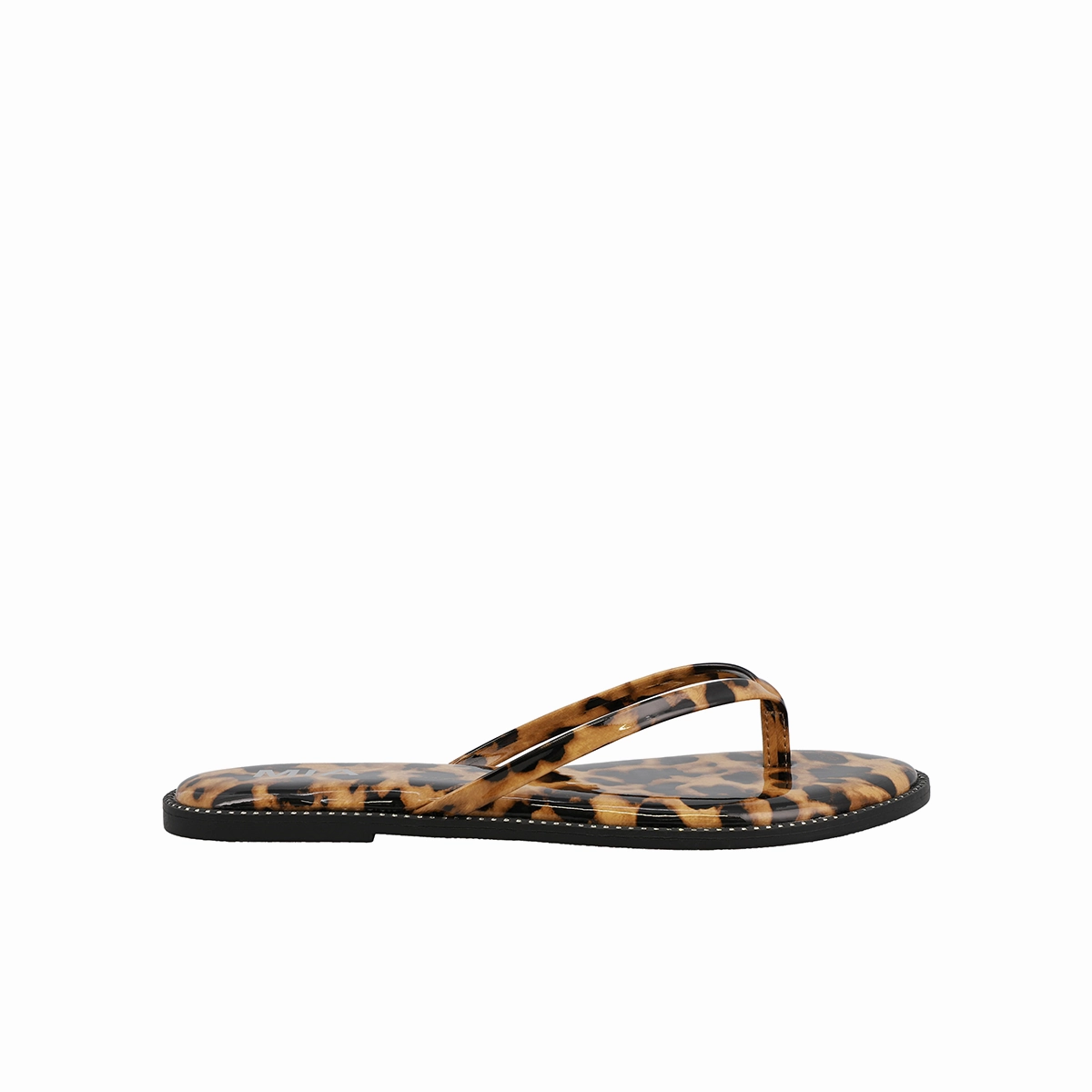 ASTER - LEOPARD