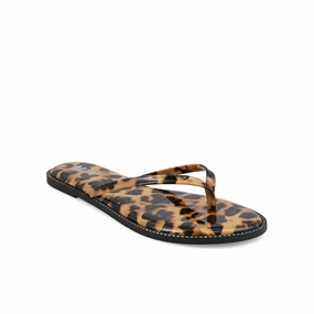 ASTER - LEOPARD
