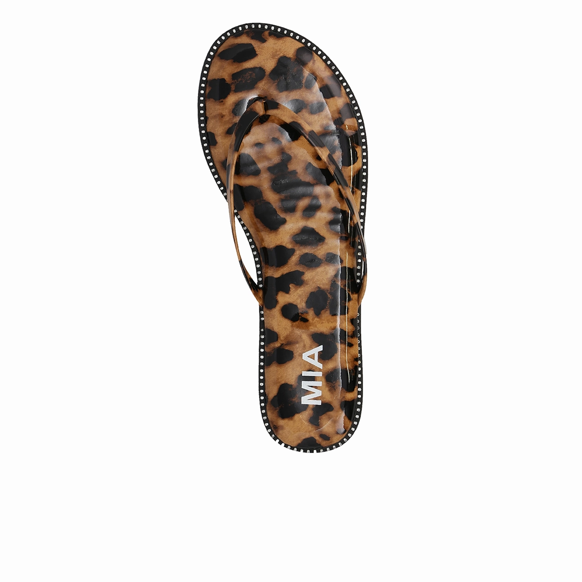 ASTER - LEOPARD
