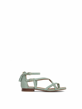 Brancaster - Mint