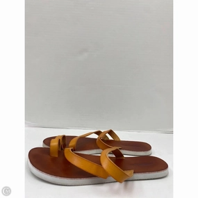 Sandals Flip Flops By American Eagle In Brown, Size: 8