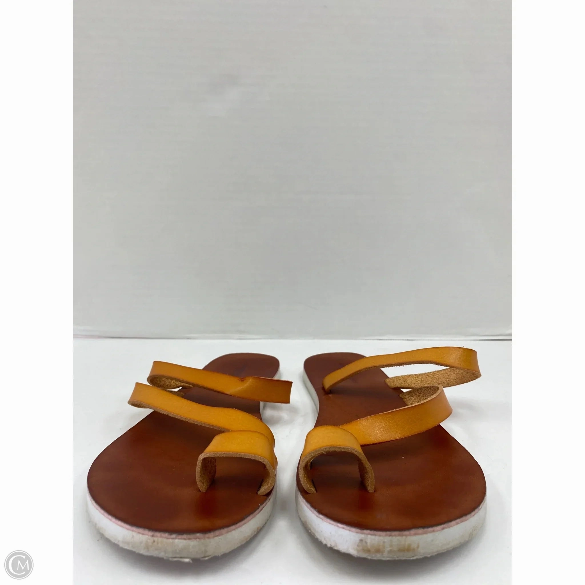 Sandals Flip Flops By American Eagle In Brown, Size: 8
