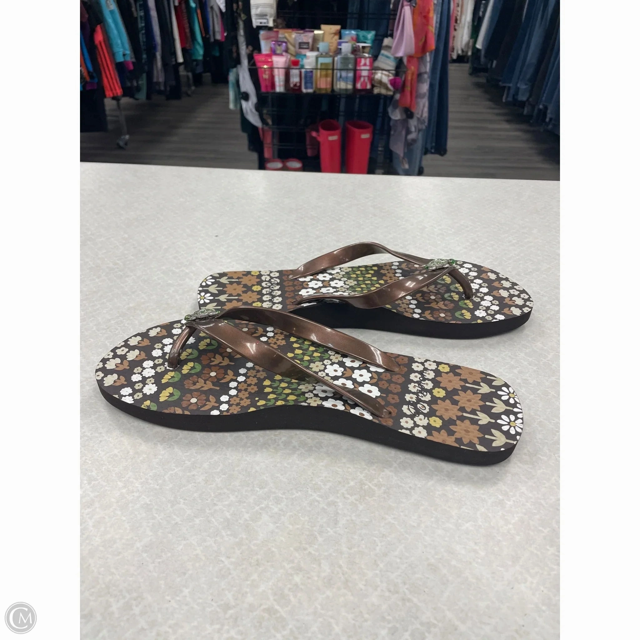 Sandals Flip Flops By Brighton In Brown, Size: 9
