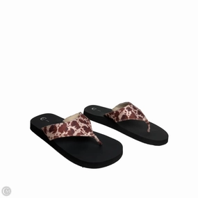 Sandals Flip Flops By Cato In Animal Print, Size: 11