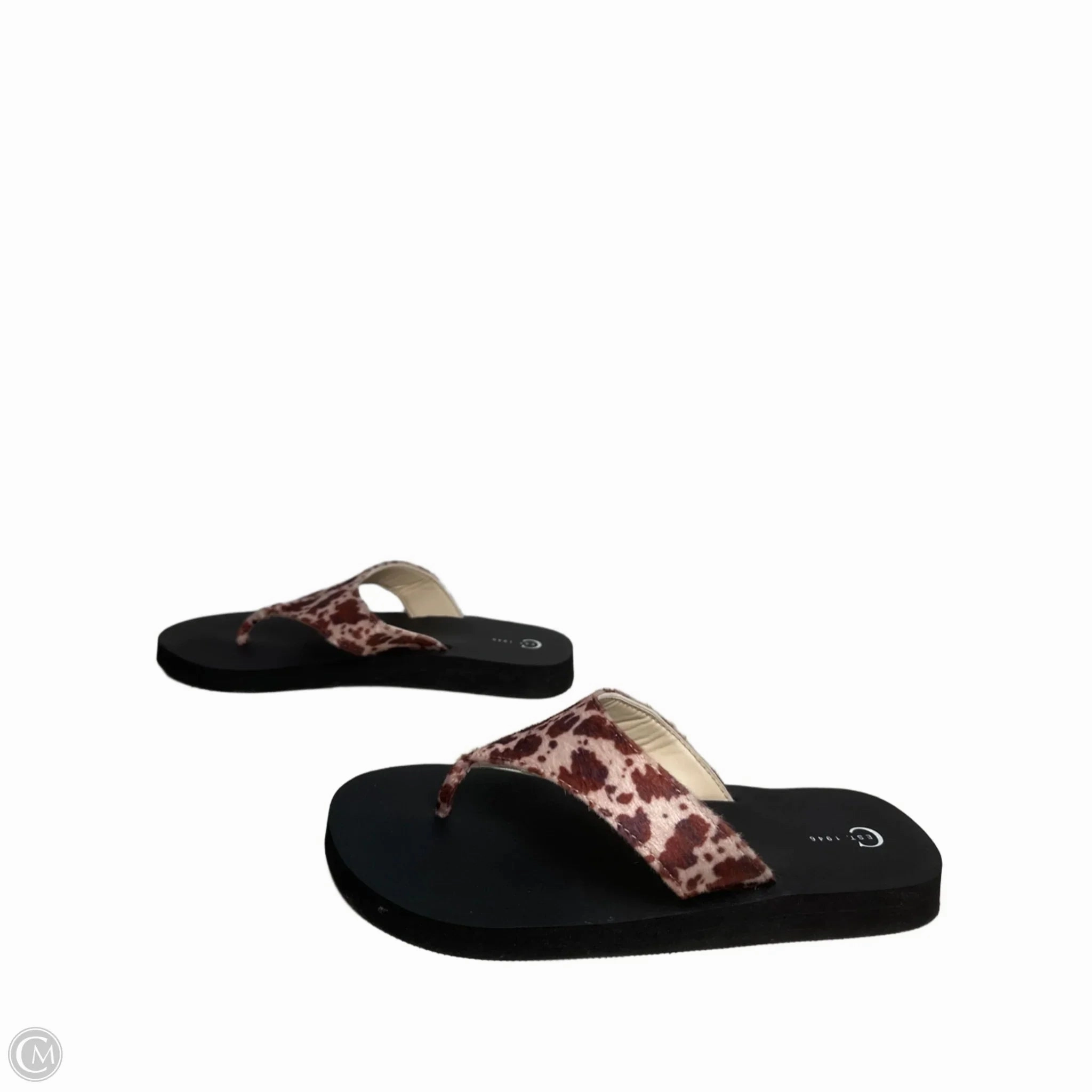 Sandals Flip Flops By Cato In Animal Print, Size: 11