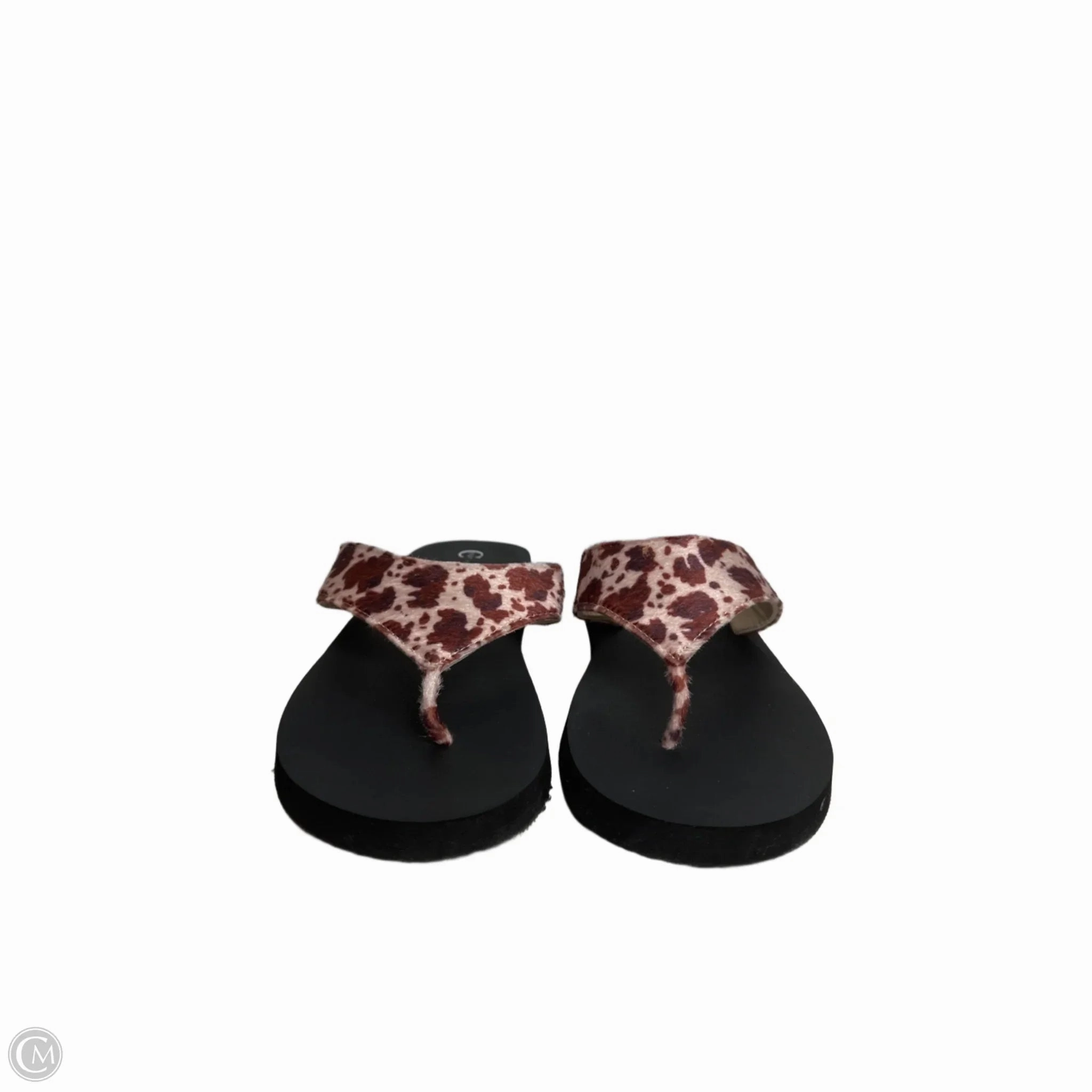 Sandals Flip Flops By Cato In Animal Print, Size: 11