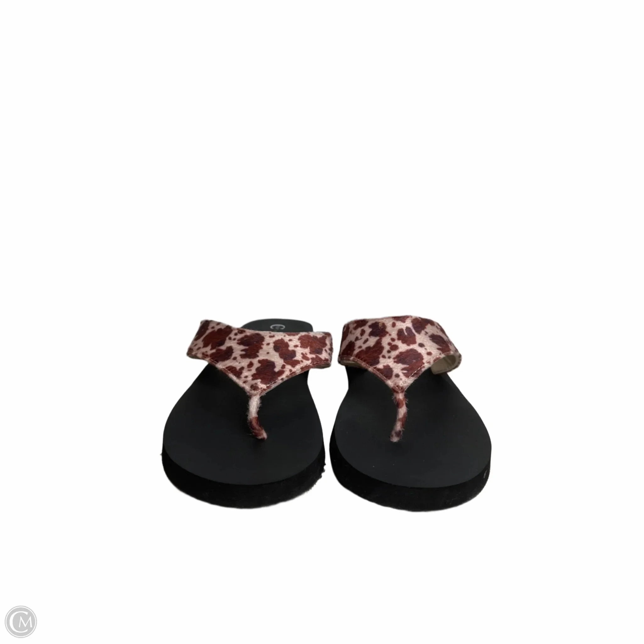 Sandals Flip Flops By Cato In Animal Print, Size: 11