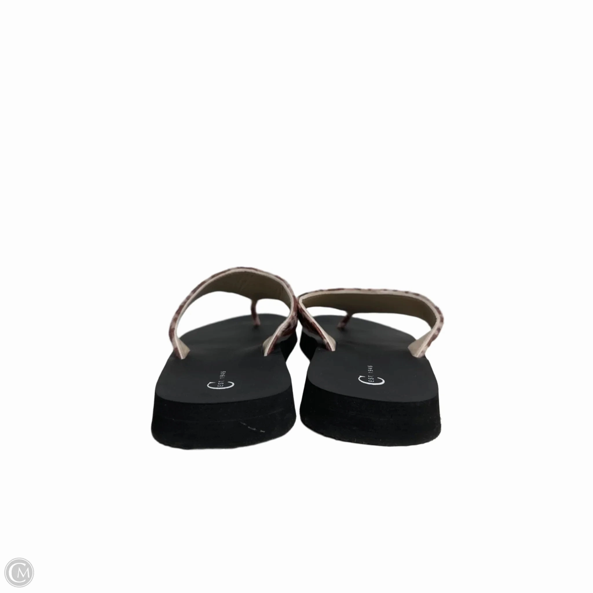 Sandals Flip Flops By Cato In Animal Print, Size: 11