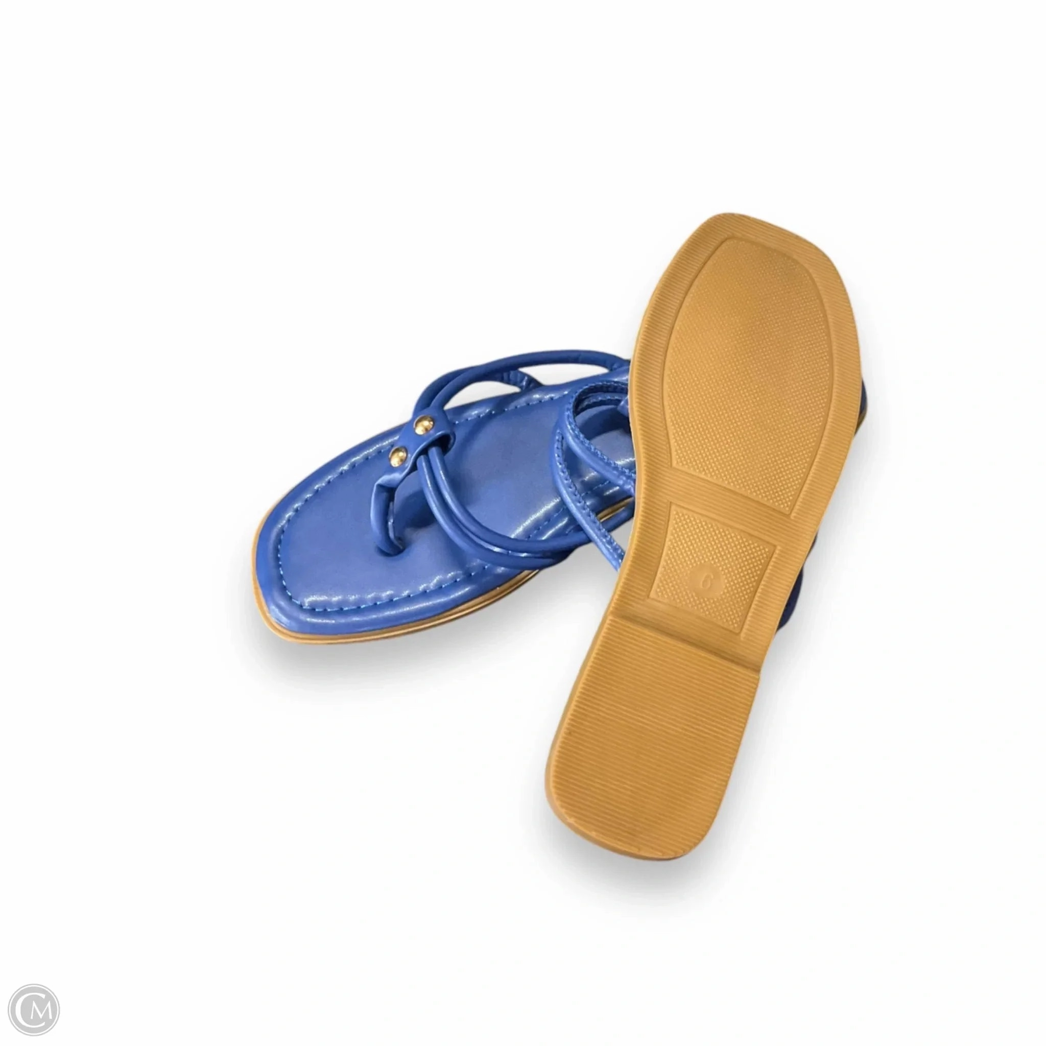 Sandals Flip Flops By Pierre Dumas In Blue, Size: 6