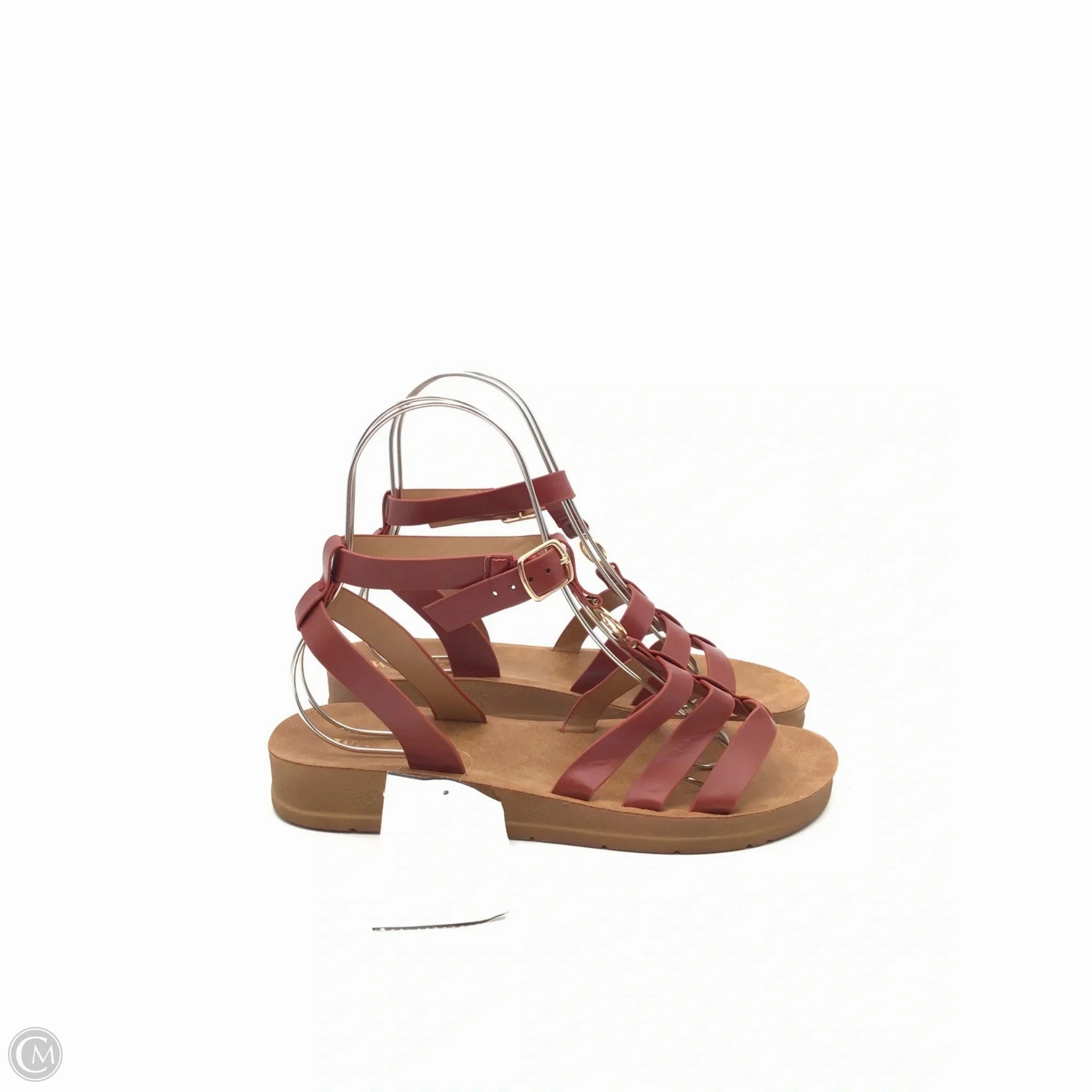 Sandals Flip Flops By Wanted In Brown, Size: 9