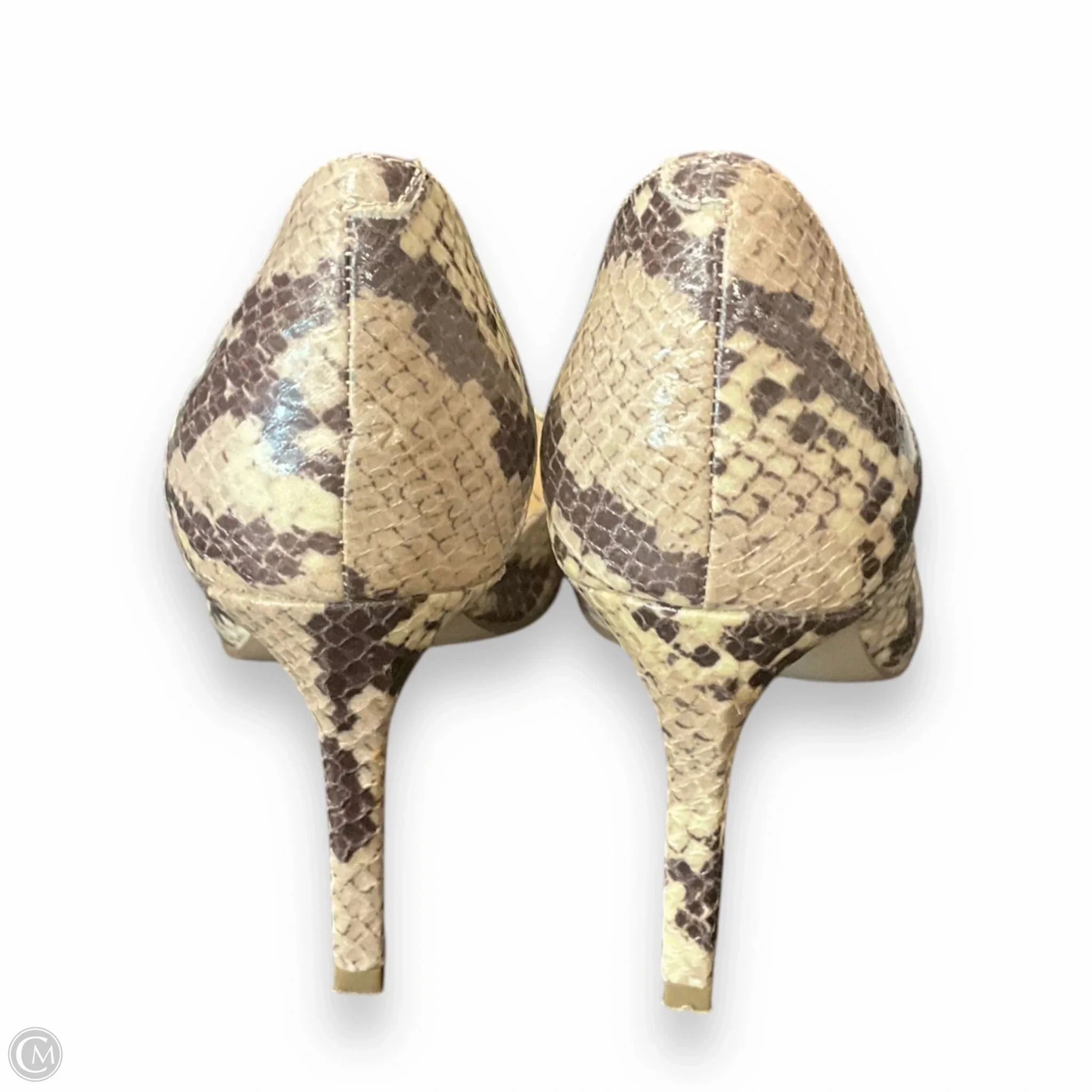 Shoes Heels Stiletto By Nine West In Snakeskin Print, Size: 6