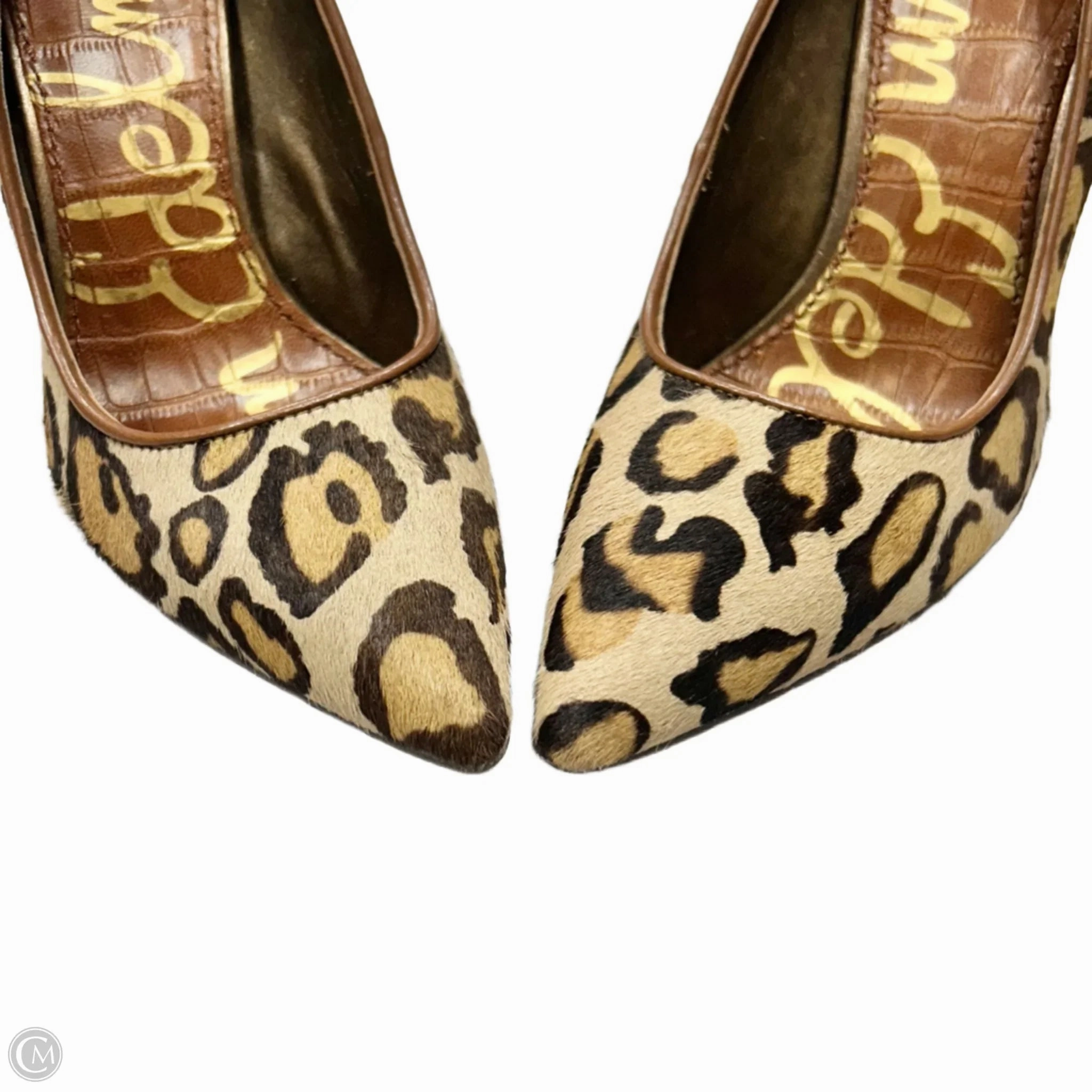 Shoes Heels Stiletto By Sam Edelman In Leopard Print, Size: 7