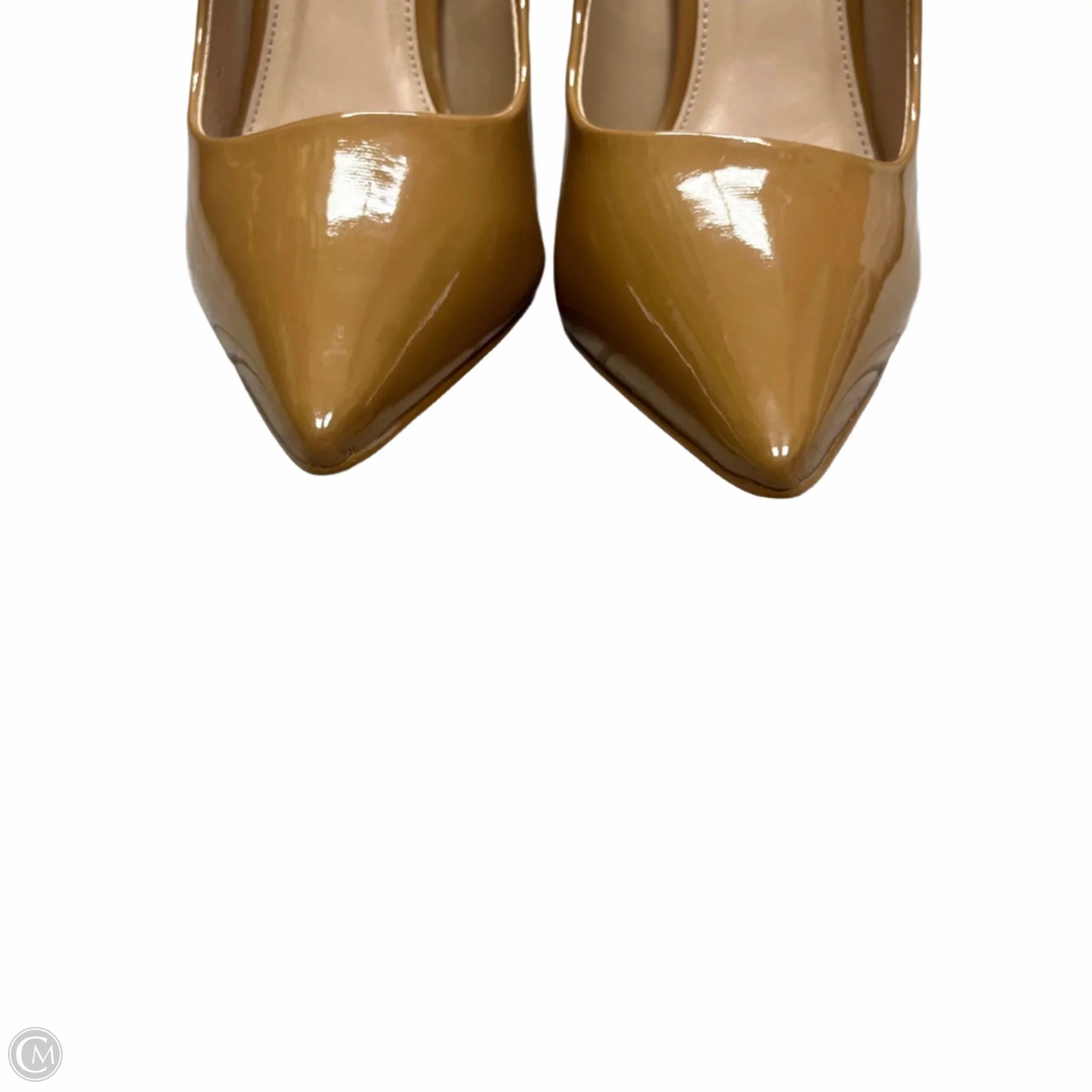 Shoes Heels Stiletto By Steve Madden In Brown, Size: 7.5